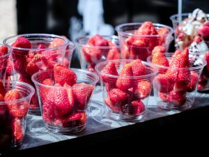 2026 markthalle